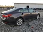 2013 Lexus ES 300H