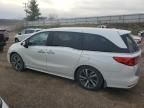 2020 Honda Odyssey Elite