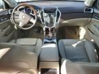 2010 Cadillac SRX Luxury Collection