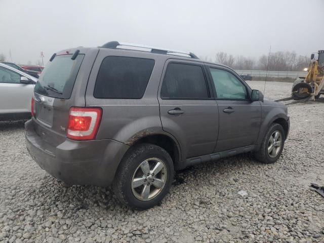 2011 Ford Escape Limited