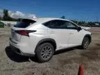 2020 Lexus NX 300H