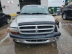 2002 Dodge Dakota Quad Sport