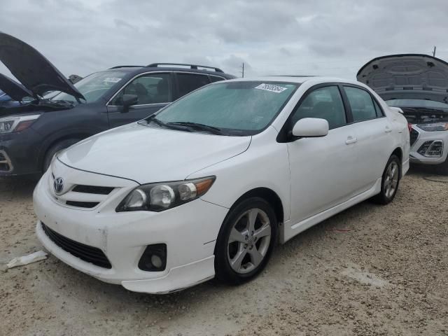 2011 Toyota Corolla Base