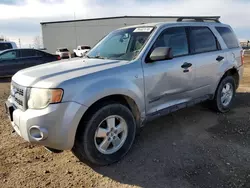 Ford Vehiculos salvage en venta: 2008 Ford Escape XLT