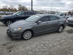 2013 Ford Fusion SE Hybrid