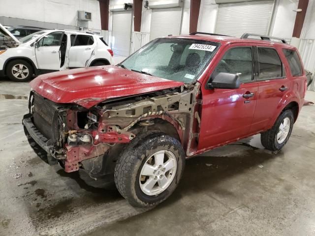 2011 Ford Escape XLT