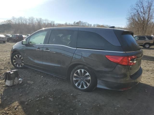 2023 Honda Odyssey EXL