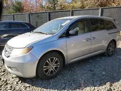 Salvage cars for sale at Waldorf, MD auction: 2011 Honda Odyssey EXL