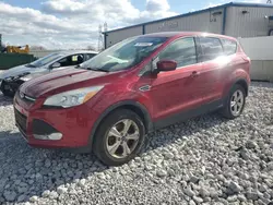 Ford Vehiculos salvage en venta: 2016 Ford Escape SE