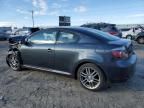 2008 Scion TC