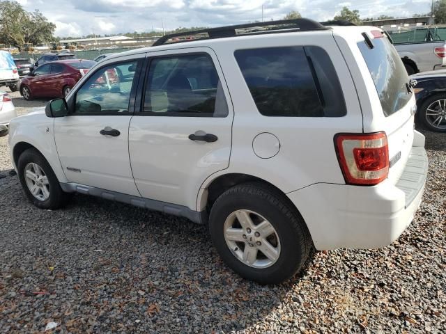 2008 Ford Escape HEV