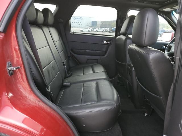 2010 Ford Escape Limited