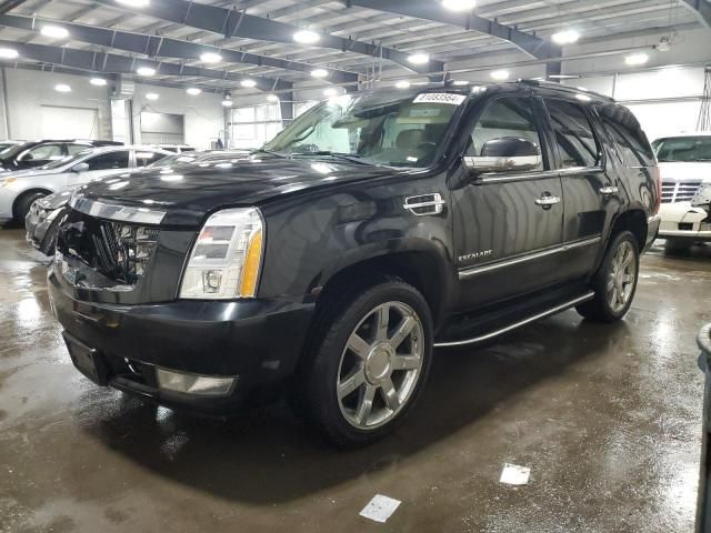 2010 Cadillac Escalade Luxury