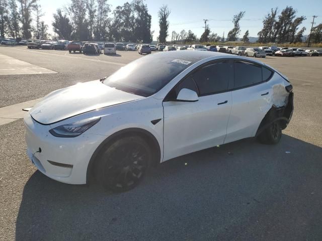 2020 Tesla Model Y