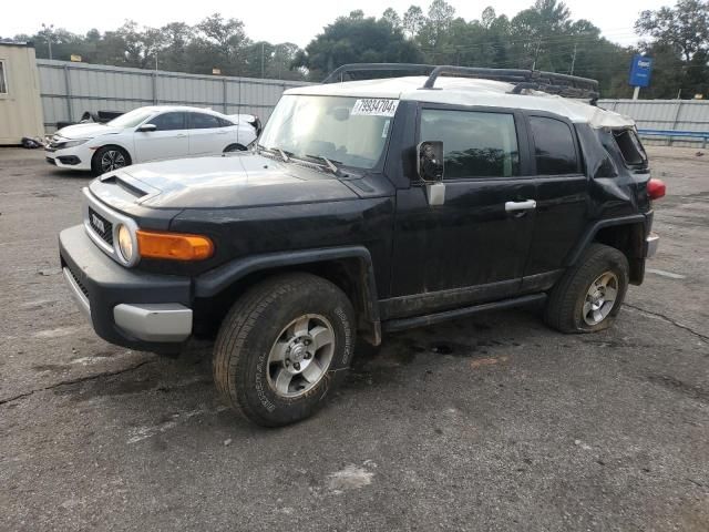 2010 Toyota FJ Cruiser