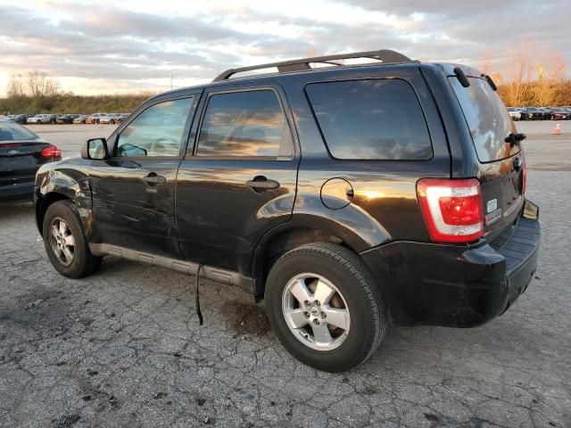 2011 Ford Escape XLT