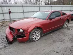 Ford Vehiculos salvage en venta: 2006 Ford Mustang