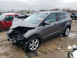 2014 Ford Escape Titanium en venta en Louisville, KY