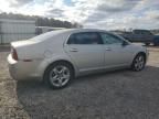 2008 Chevrolet Malibu 1LT