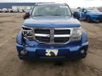 2009 Dodge Nitro SE