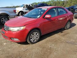 Salvage cars for sale at Greenwell Springs, LA auction: 2013 KIA Forte EX