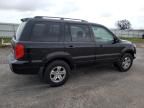 2005 Honda Pilot EXL