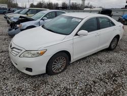 Salvage cars for sale at auction: 2010 Toyota Camry Base