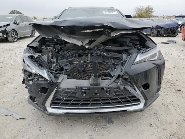 2019 Lexus UX 250H