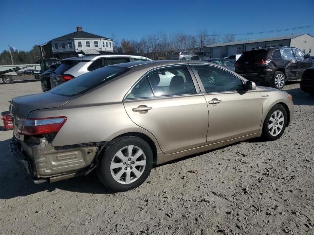 2008 Toyota Camry Hybrid