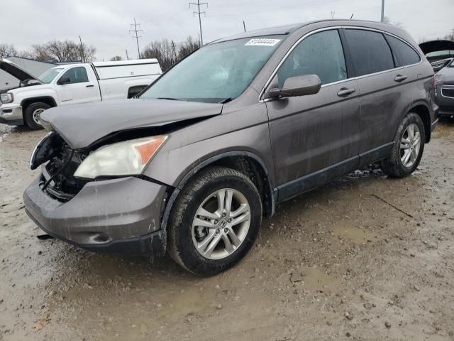 2010 Honda CR-V EXL