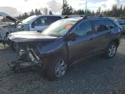 2023 Toyota Rav4 XLE en venta en Graham, WA