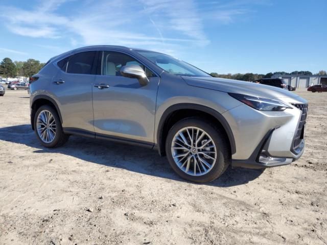 2025 Lexus NX 350 Luxury