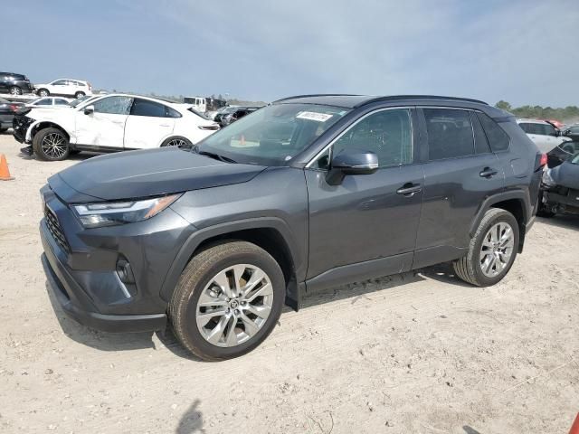 2024 Toyota Rav4 XLE Premium