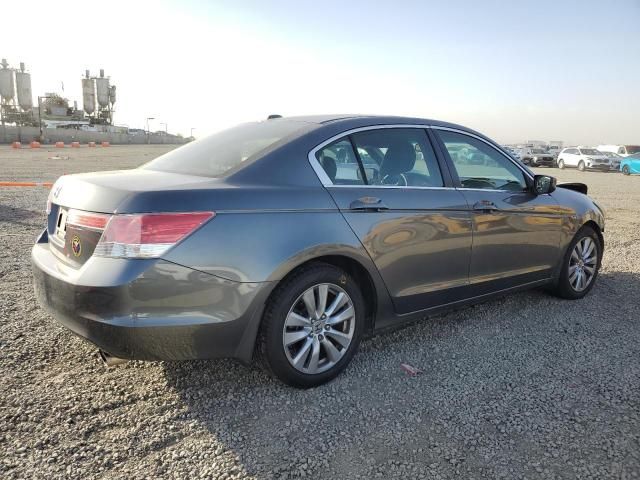 2011 Honda Accord EXL