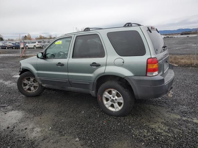 2005 Ford Escape XLT