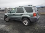 2005 Ford Escape XLT