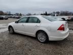 2010 Ford Fusion Hybrid