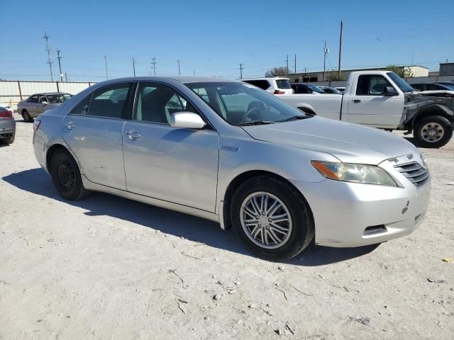 2009 Toyota Camry Hybrid