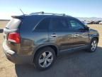 2013 KIA Sorento EX