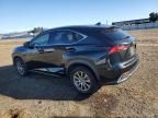 2020 Lexus NX 300H