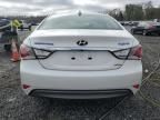 2013 Hyundai Sonata Hybrid