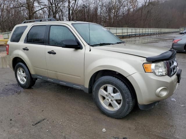 2011 Ford Escape XLT