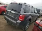 2010 Ford Escape Limited