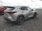 2024 Lexus NX 350H Base