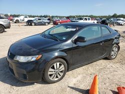 KIA Forte salvage cars for sale: 2013 KIA Forte EX