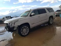 Salvage cars for sale at Amarillo, TX auction: 2016 Cadillac Escalade ESV Platinum