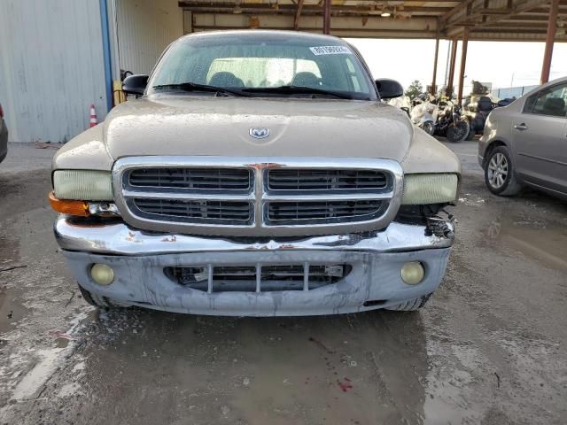 2004 Dodge Dakota Quad SLT