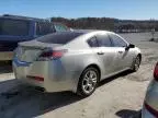 2009 Acura TL