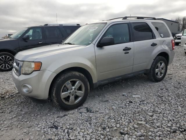 2009 Ford Escape XLT