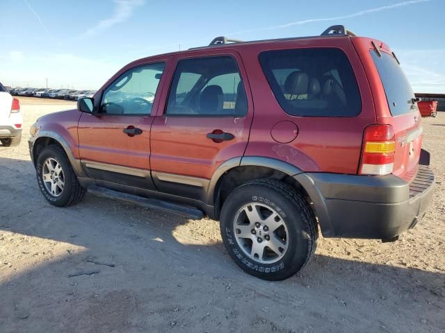 2005 Ford Escape XLT